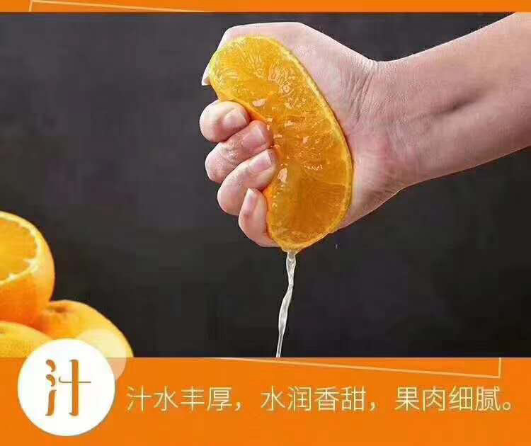 紅美人