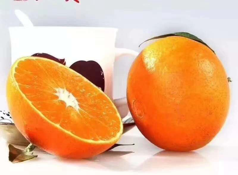 紅美人
